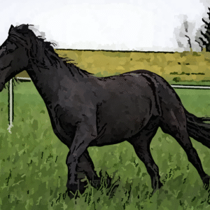 Digital Artwork Print