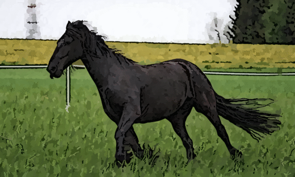 Digital Artwork Print