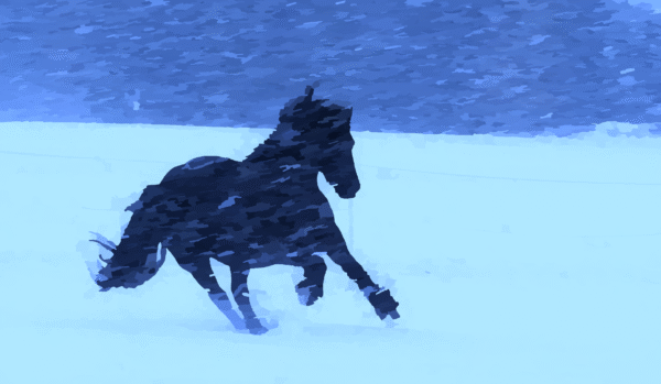 Digital Artwork Print - Image 3