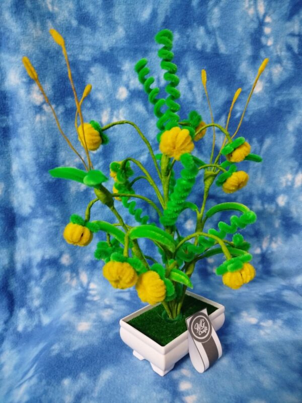 WG Yellow Pumpkins - Image 3